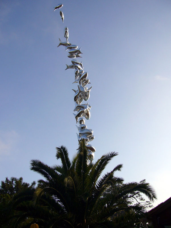 Un palmier avec de drôle de fruits au Festiventu 2006